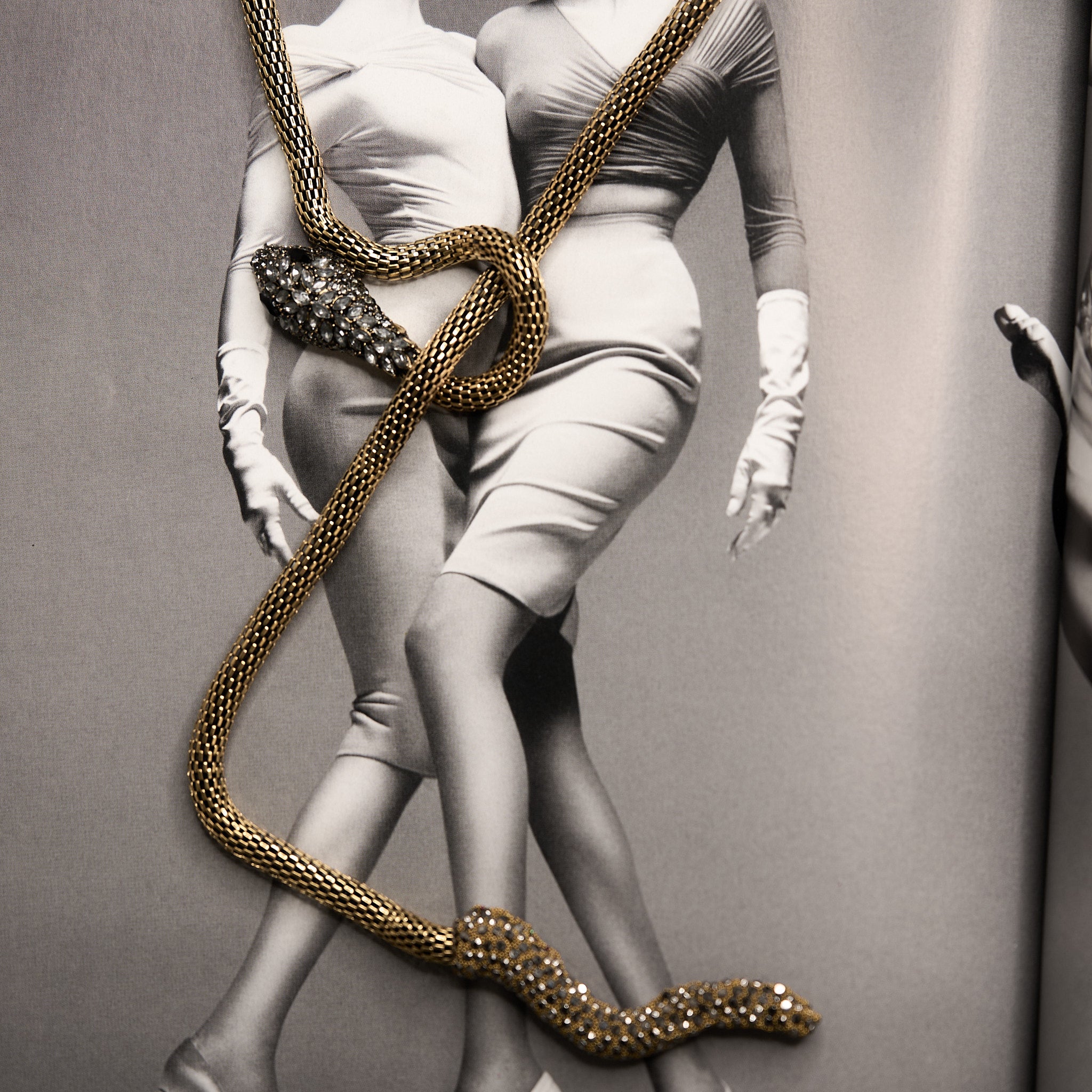 Snake