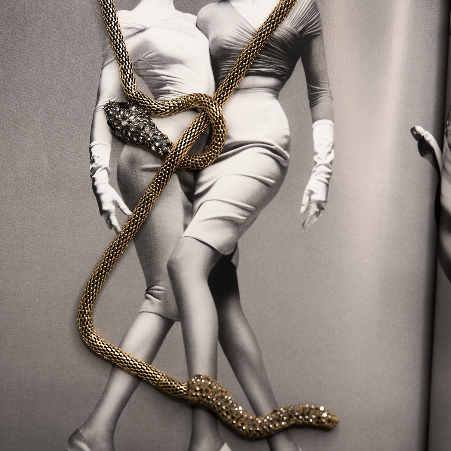 Snake
