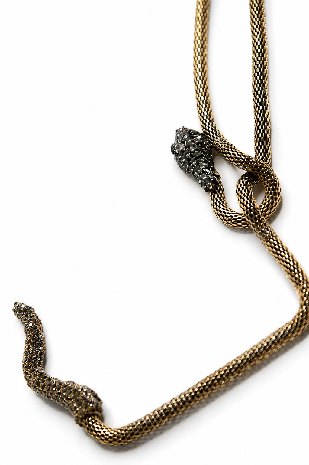 Snake